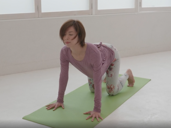 妊婦 キャットアンドカウ