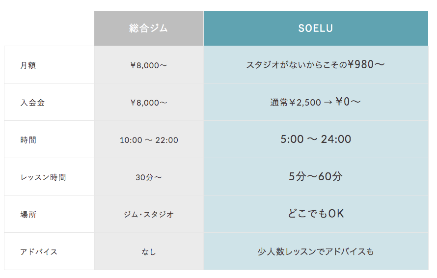 ソエル料金表