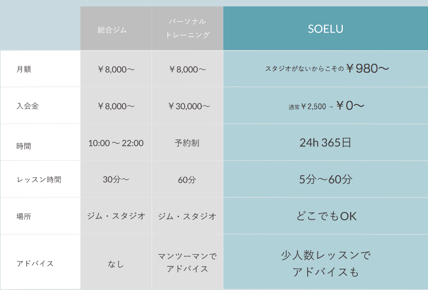 料金表 ソエル
