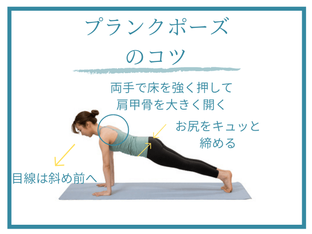 プランクポーズのコツ